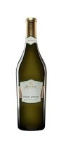 PINOT GRIGIO